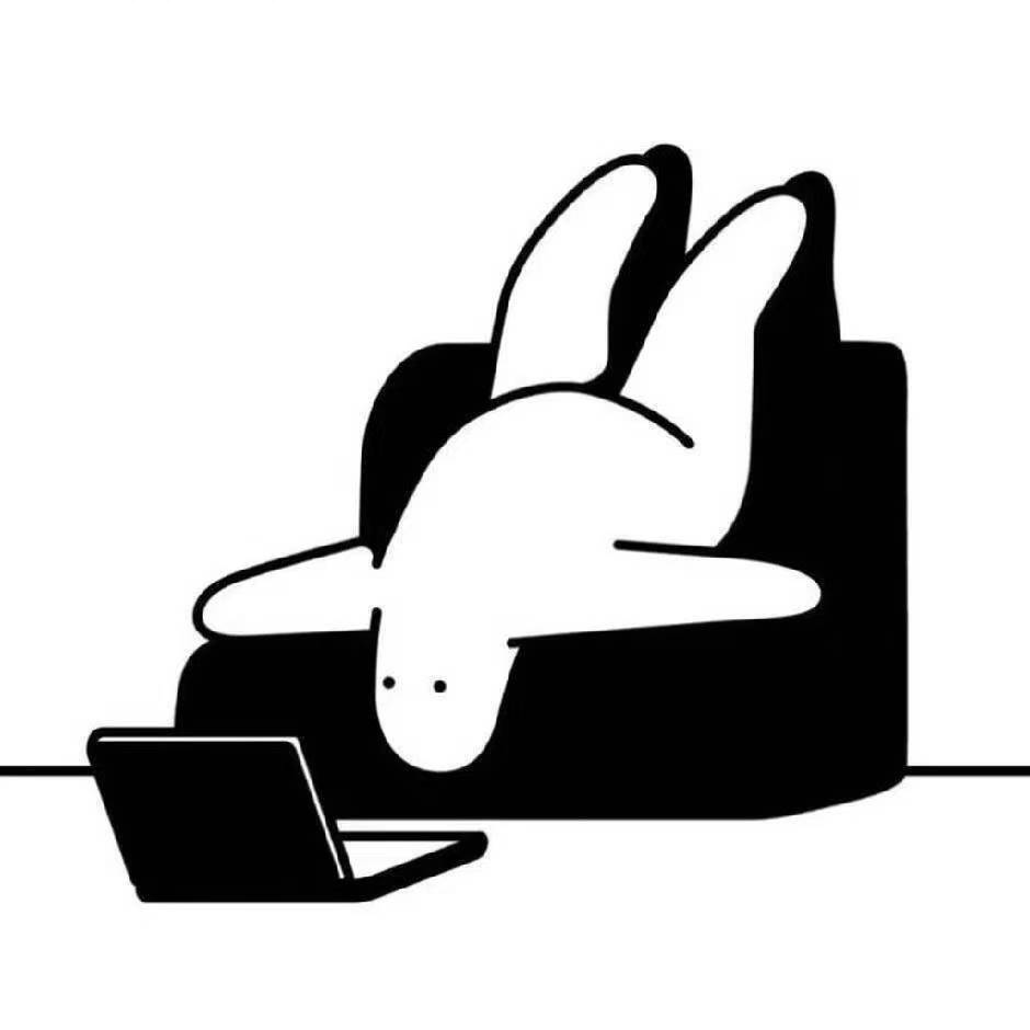 Yihan Lin avatar